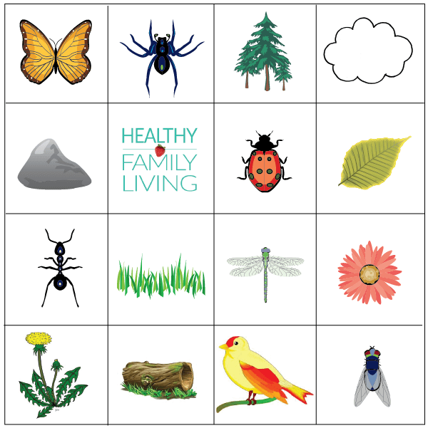 nature bingo pdf