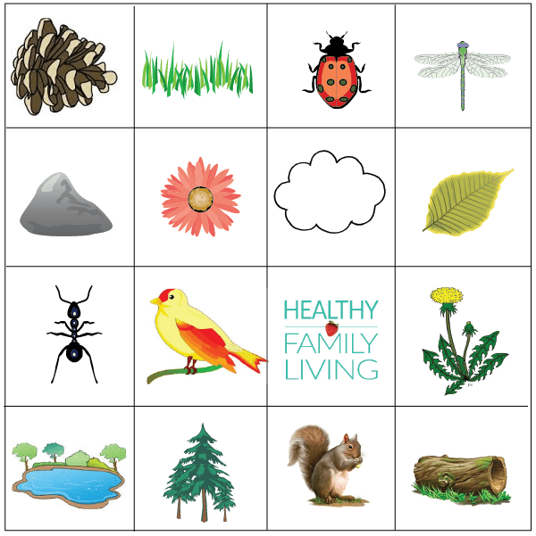 winter nature bingo