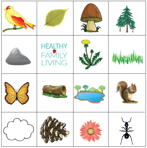 Play Nature Bingo Game! Living in Metro Vancouver