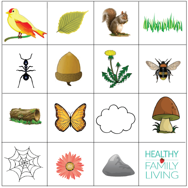 nature bingo set