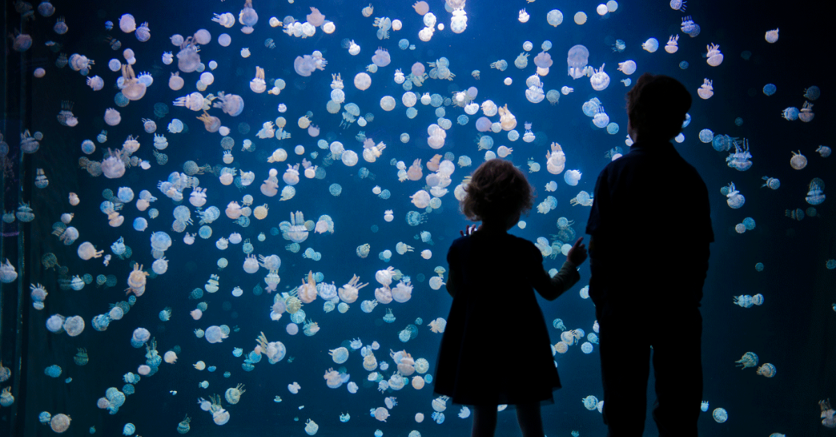 Vancouver Aquarium