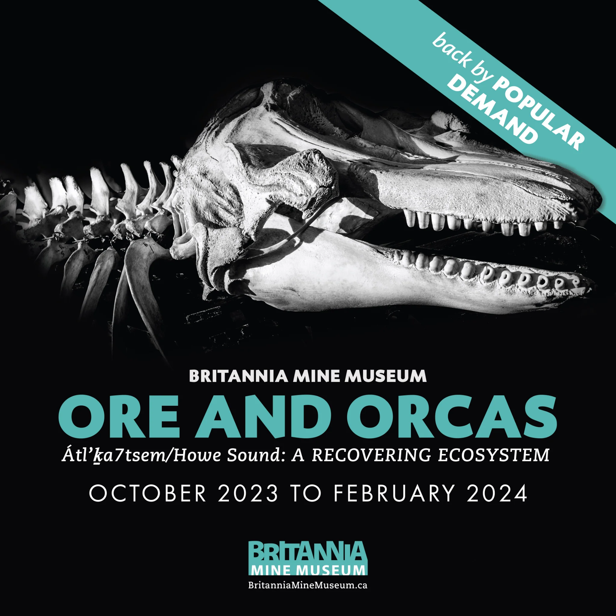 Ore and Orcas - Britannia Mine Museum
