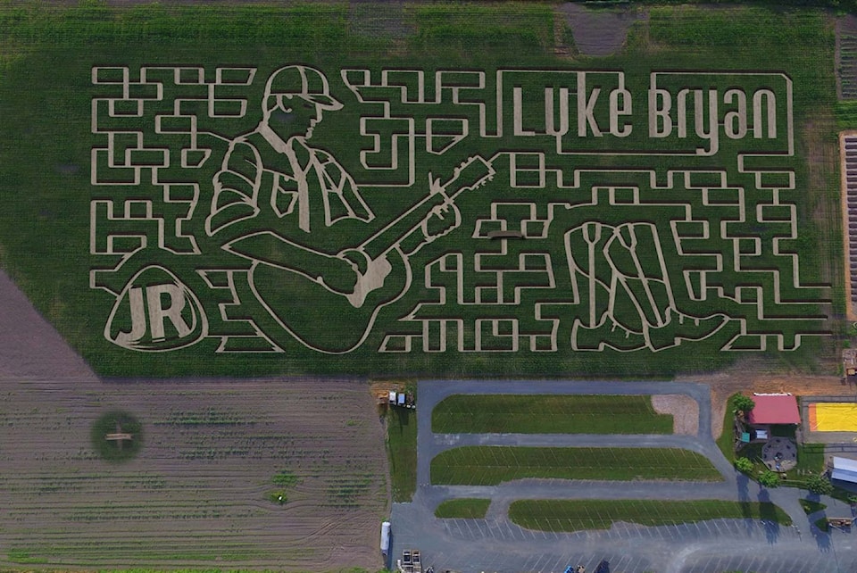 corn maze in metro vancouver: Chilliwack Corn Maze