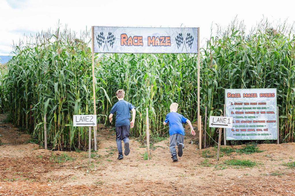 Corn Mazes in Vancouver: Laity Farms