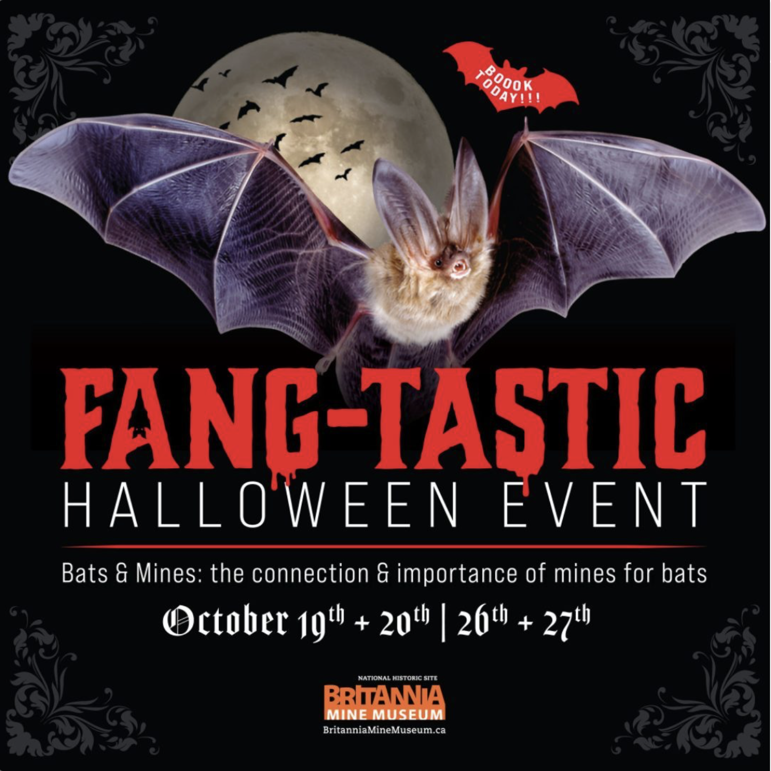 family halloween events vancouver - fangtastic britannia mine museum