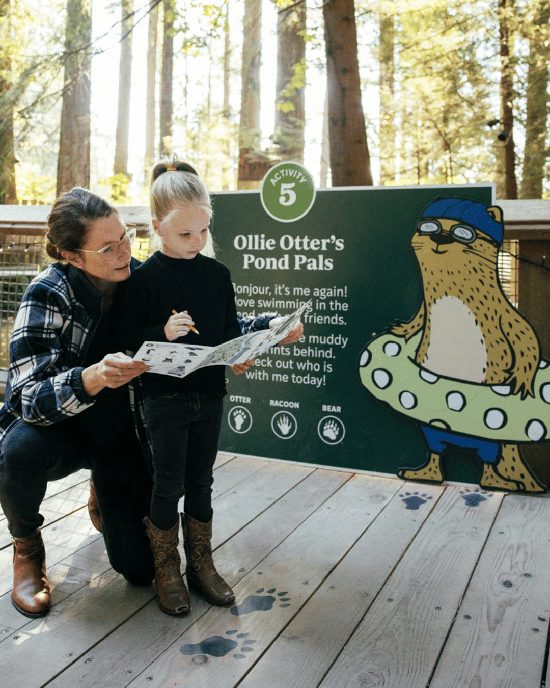 capilano suspension bridge bc summer family fun guide