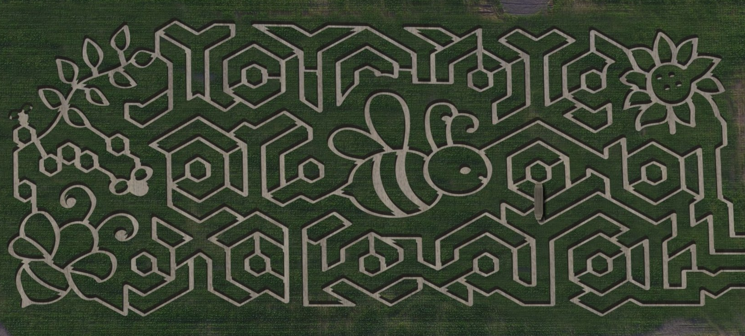 corn maze in metro vancouver: Chilliwack Corn Maze